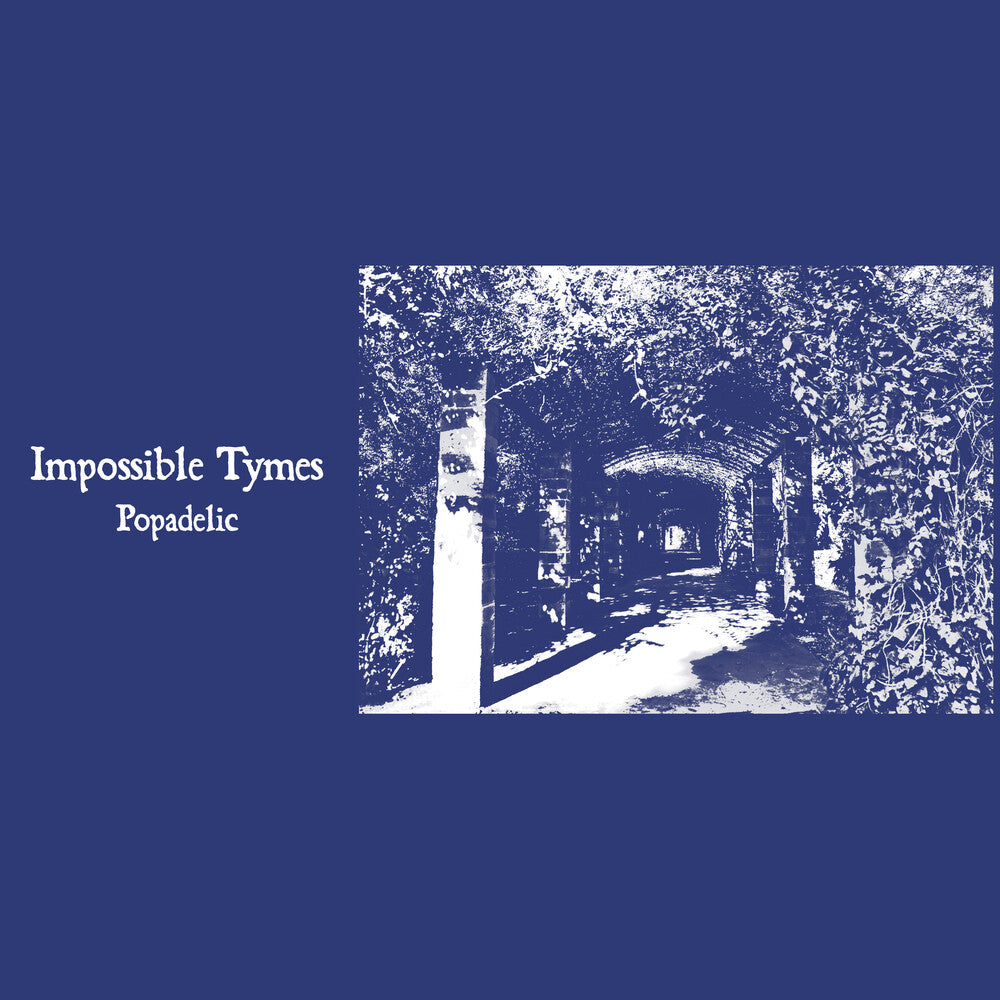 Impossible Tymes - Popadelic [LP] Vinyl Record