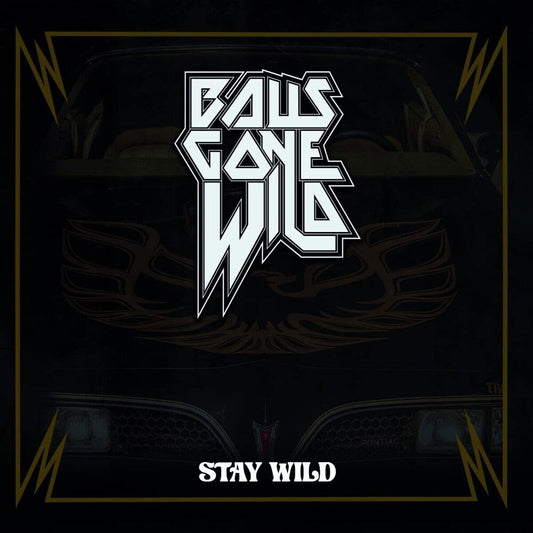 Balls Gone Wild - Stay Wild [LP] Vinyl Record
