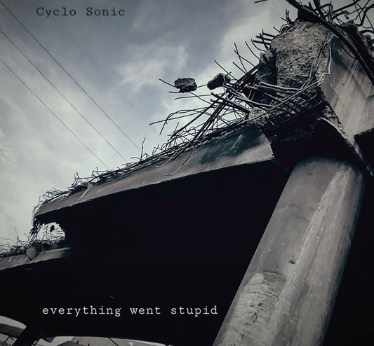 Cyclo-Sonic - Everything Went Stupid [LP] Vinyl Record