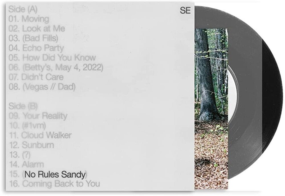 Sylvan Esso - No Rules Sandy [LP] Vinyl Record