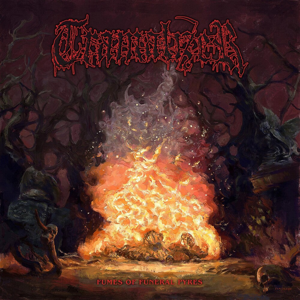 Tramalizer - Fumes Of Funeral Pyres [LP] Vinyl Record