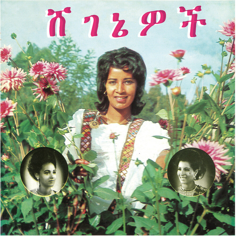 Aselefech Ashine - Beauties [LP] Vinyl Record