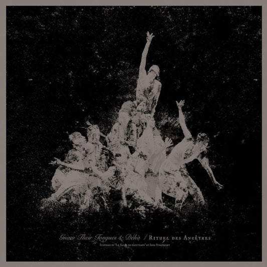 Gnaw Their Tongues / Deha - Rituel Des Ancetres [LP] Vinyl Record