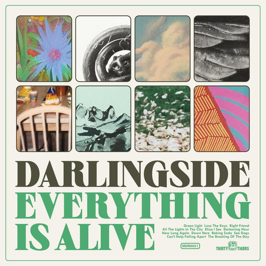 Darlingside - Everything Is Alive [LP] Vinyl Record