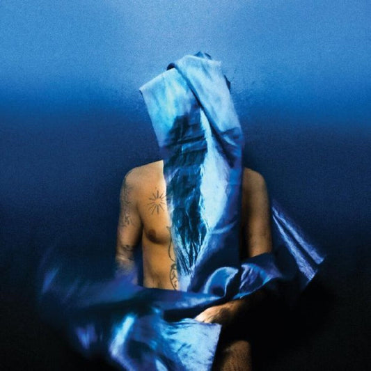 Devendra Banhart - Flying Wig [LP] Vinyl Record