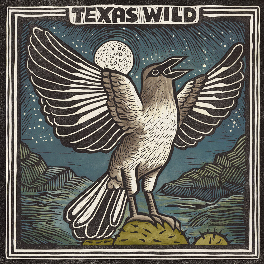Texas Wild / Various - Texas Wild / Various [LP] Vinyl Record