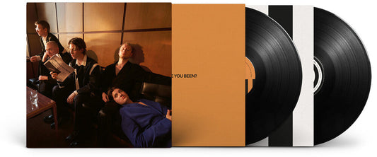 Giant Rooks - How Have You Been? [2 LP] Vinyl Record