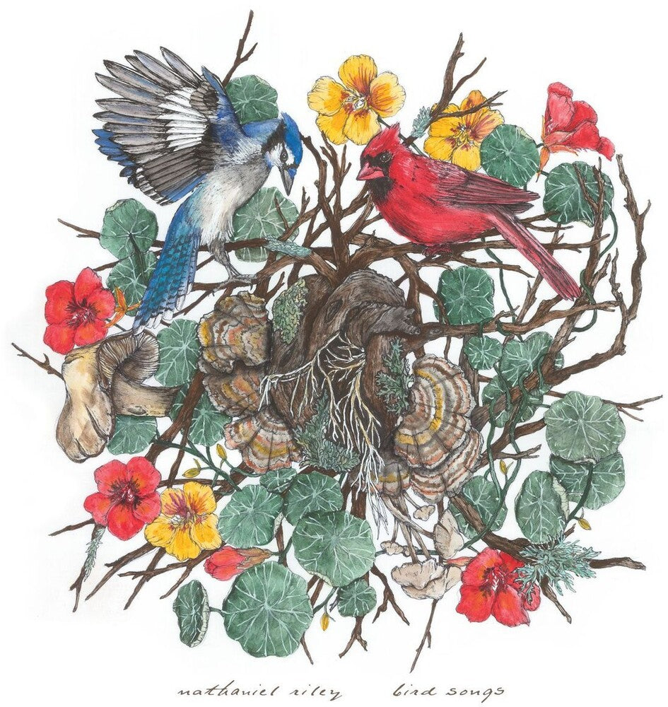 Nathaniel Riley - Bird Songs [LP] Vinyl Record