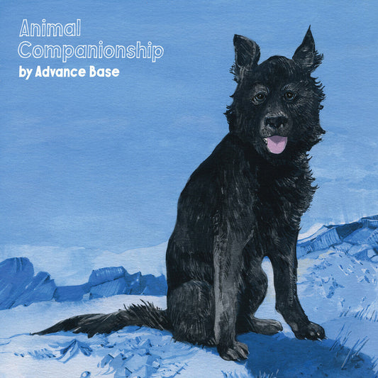 Avance Base - Animal Companionship [Colored Vinyl] Vinyl Record