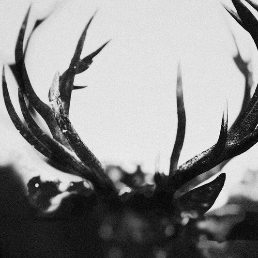 Ihsahn - Ihsahn [LP] Vinyl Record
