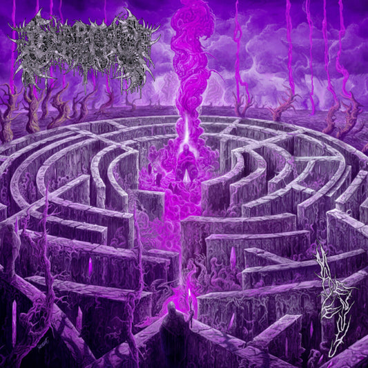 Civerous - Maze Envy [Colored Vinyl] [Limited Edition] (Mgta) (Purp) Vinyl Record