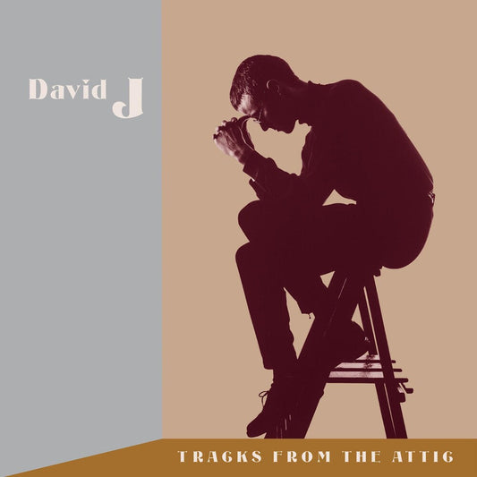 David J - Tracks From The Attic (W/Cd) (Brwn) [Clear Vinyl] Vinyl Record