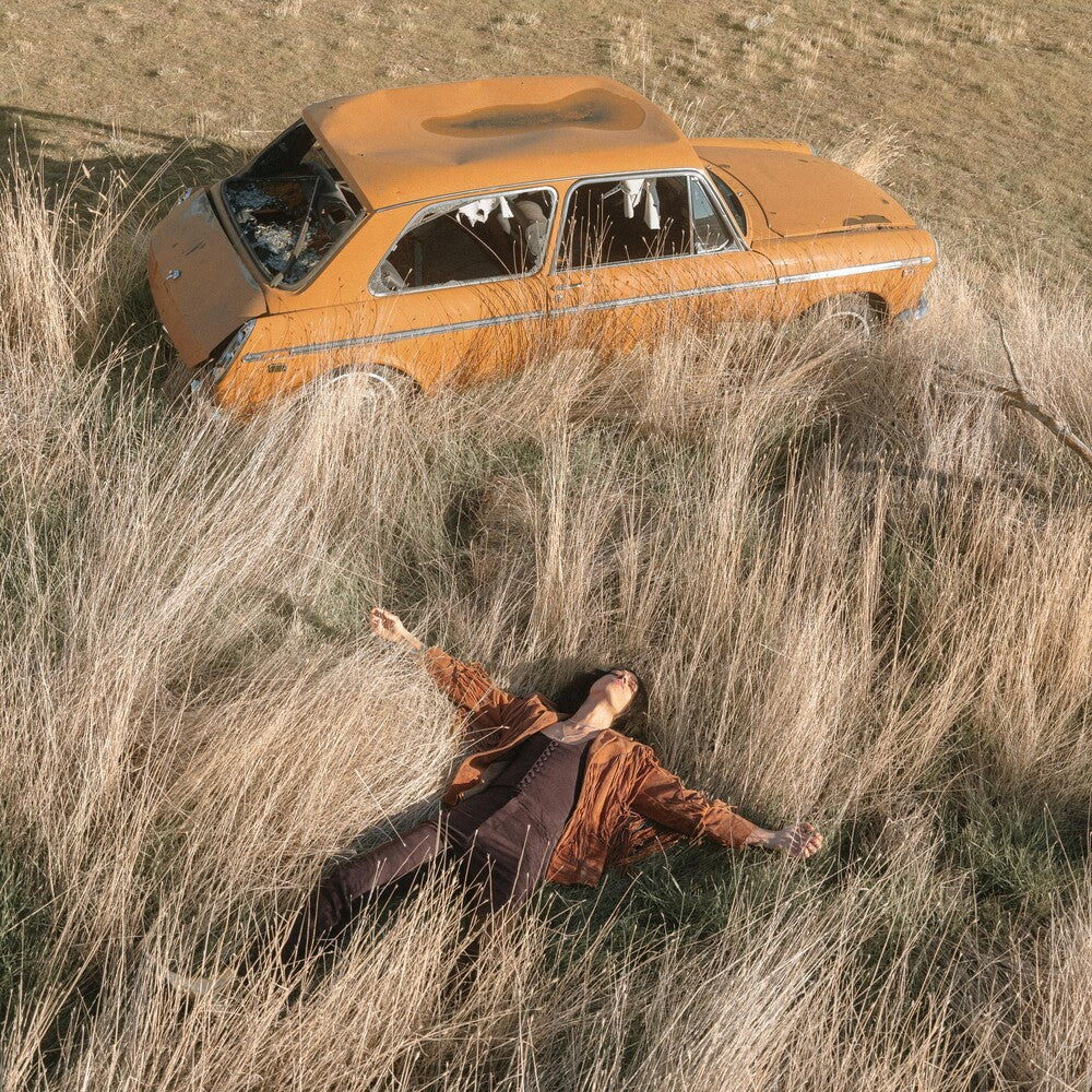 Lawrence Rothman - Plow That Broke The Plains [LP] Vinyl Record