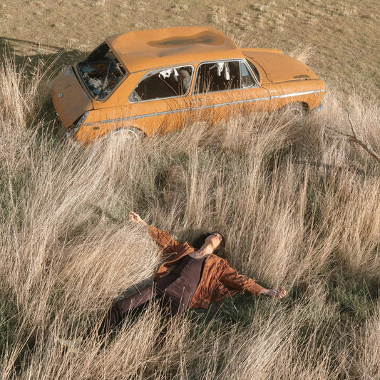 Lawrence Rothman - Plow That Broke The Plains [LP] Vinyl Record