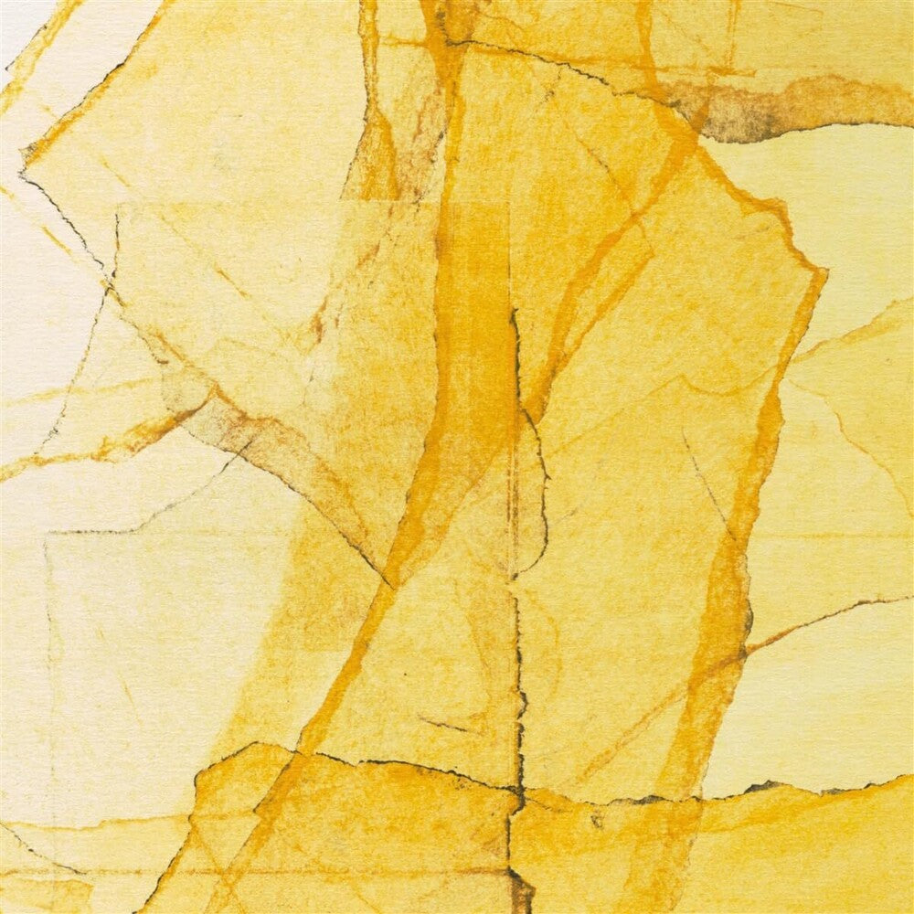 Wadada Smith  Leo / Myaers,Amina Claudine - Central Parks Mosaic Of Reservoir, Lake, Paths And [LP] Vinyl Record