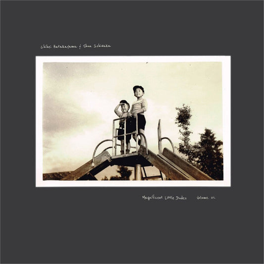 Chihei Hatakeyama  & Ishiwaka,Shun - Magnificent Little Dudes Vol. 1 [LP] Vinyl Record