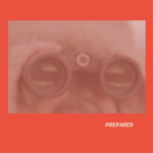 Laura Martin  J - Prepared - Rose Pink Vinyl (Uk) [LP] Vinyl Record