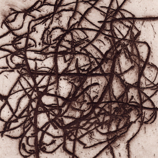K Leimer . / Barreca,Marc - Arrhythmian [LP] Vinyl Record