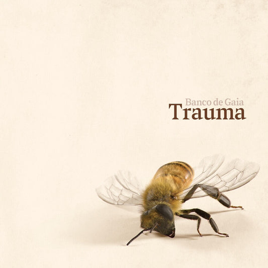 Banco De Gaia - Trauma [LP] Vinyl Record