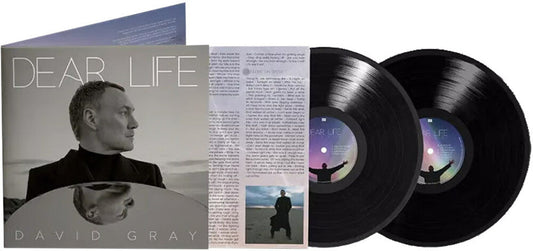 David Gray - Dear Life [LP] Vinyl Record