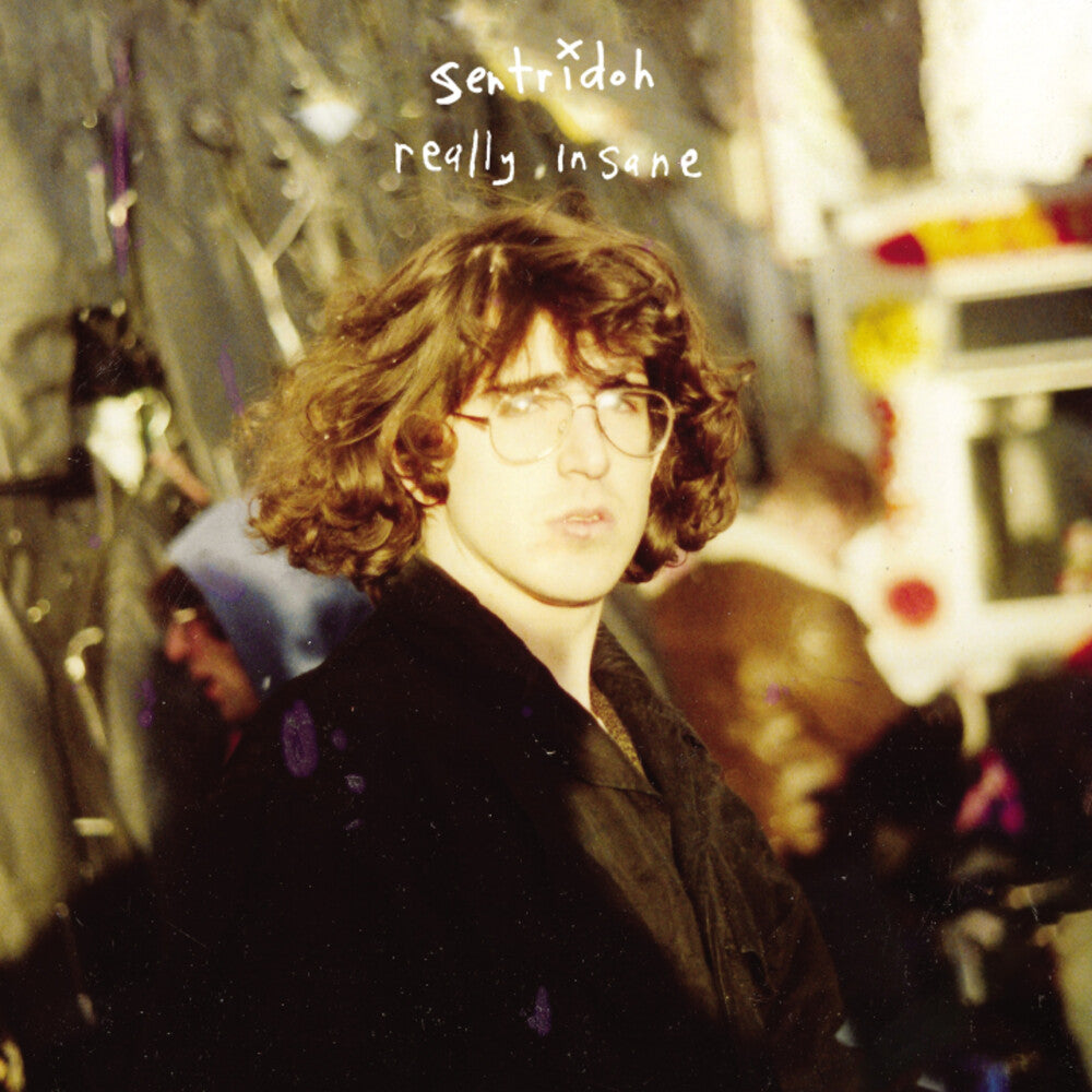 Sentridoh - Really Insane : A Lou Barlow Compendium [Remastered] Vinyl Record