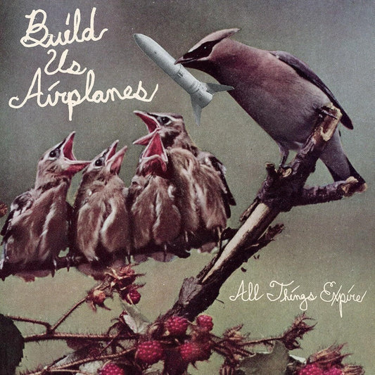 Build Us Airplanes - All Things Expire [LP] Vinyl Record