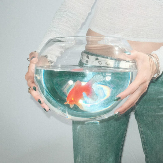 fish narc - Frog Song [LP] Vinyl Record