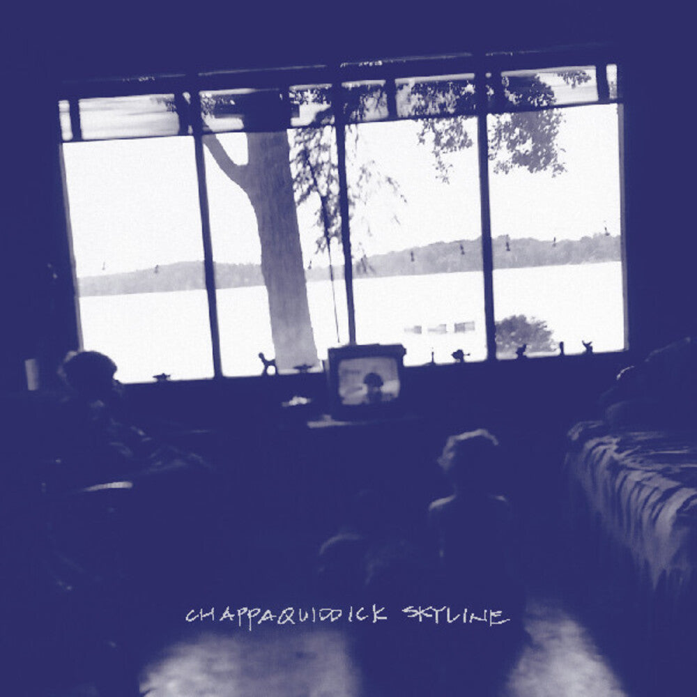 Pernice Brothers - Chappaquiddick Skyline [Limited Edition Clear Vinyl] Vinyl Record