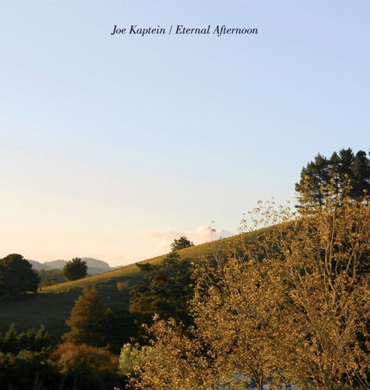Joe Kaptein - Eternal Afternoons [LP] Vinyl Record