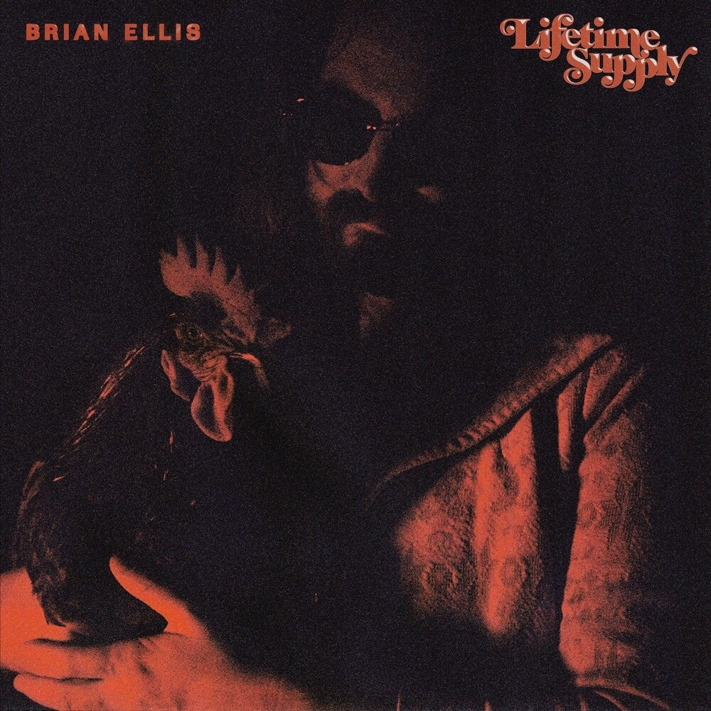 Brian Ellis - Lifetime Supply [LP] Vinyl Record