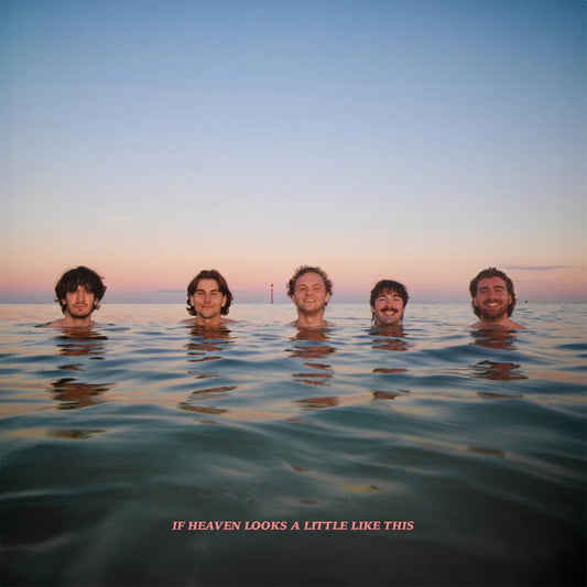 Delights - If Heaven Looks A Little Like This [Colored Vinyl] (Org) Vinyl Record