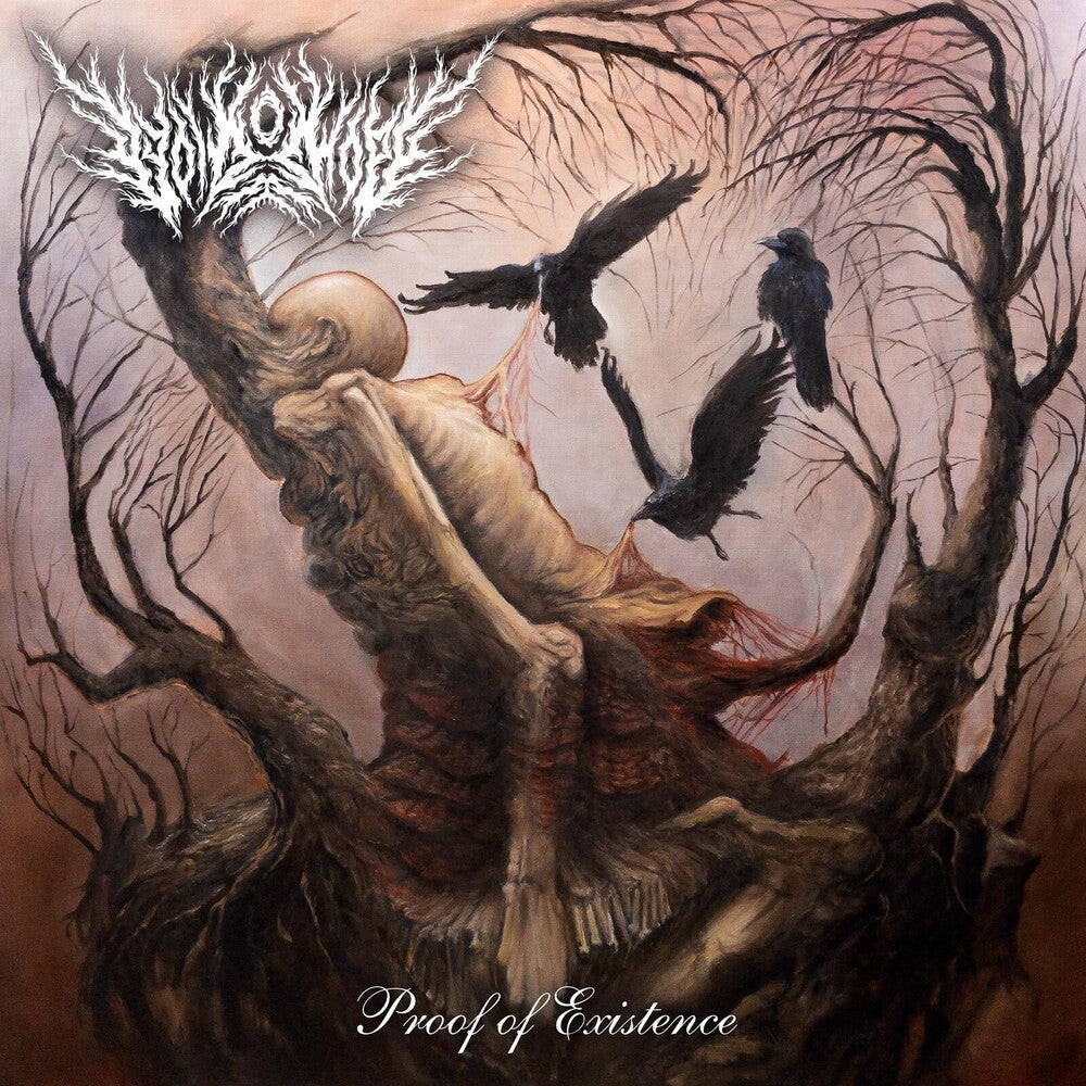 Void Of Hope - Proof Of Existence [LP] Vinyl Record