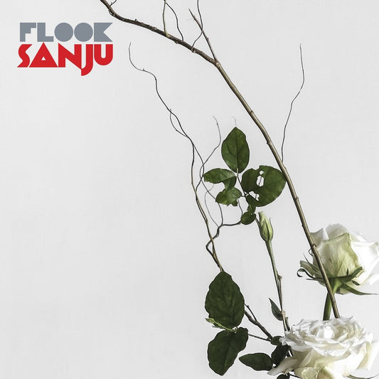 Flook - Sanju (Uk) [LP] Vinyl Record