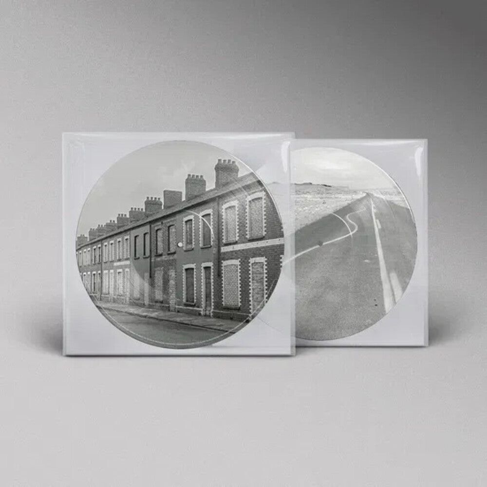 Manic Street Preachers - Critical Thinking [Limited Edition] (Pict) (Port) Vinyl Record