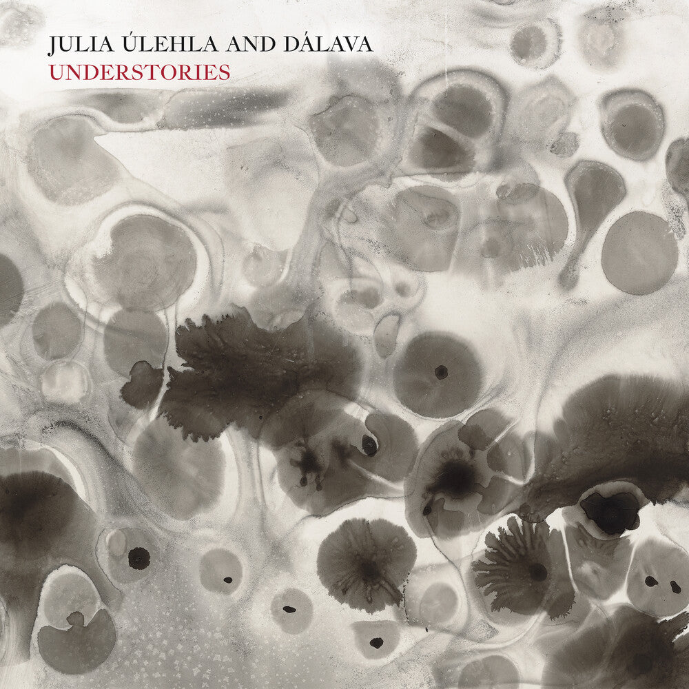 Julia Ulehla  & Dalava - Understories [LP] Vinyl Record