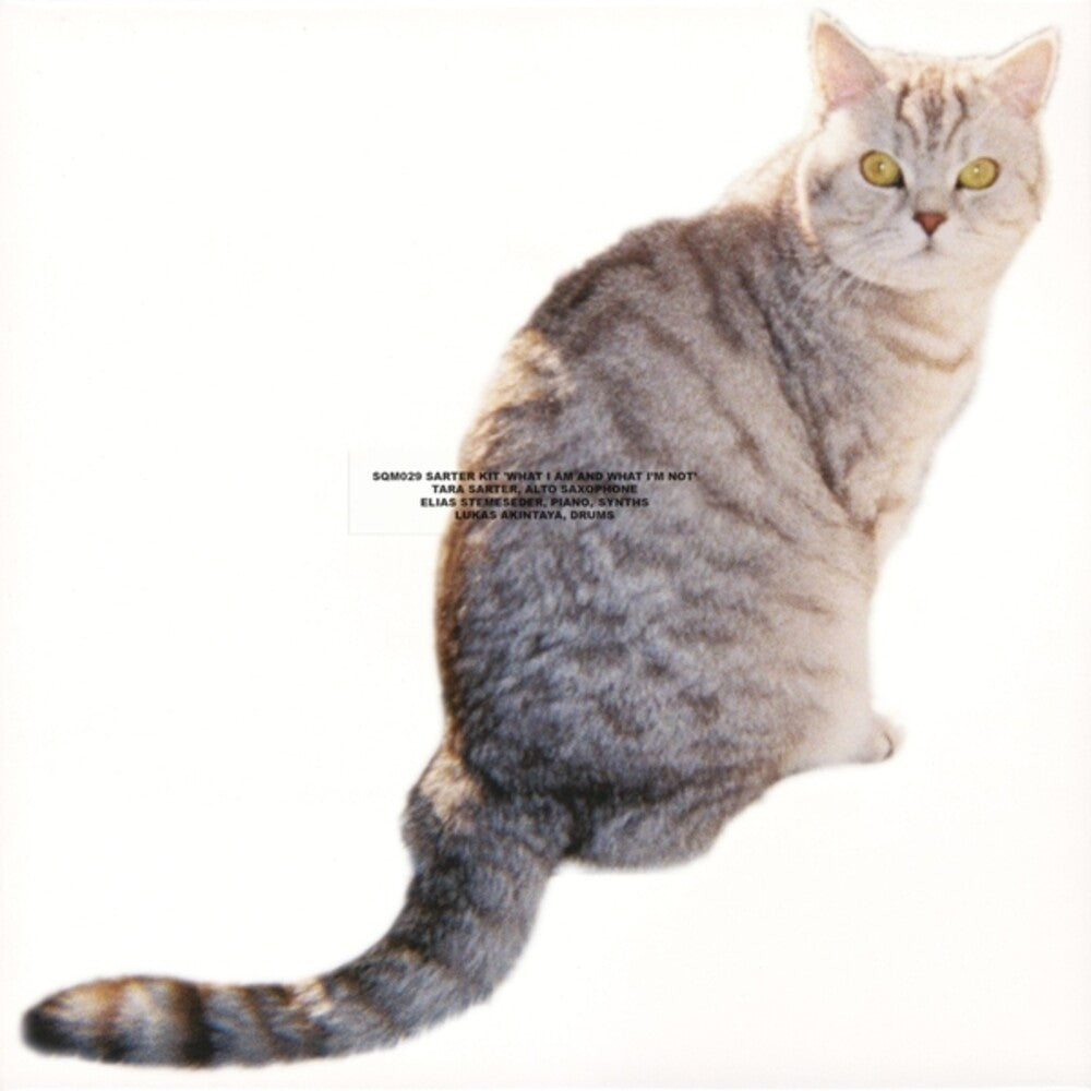 Sarter Kit - What I Am & What I'm Not [LP] Vinyl Record