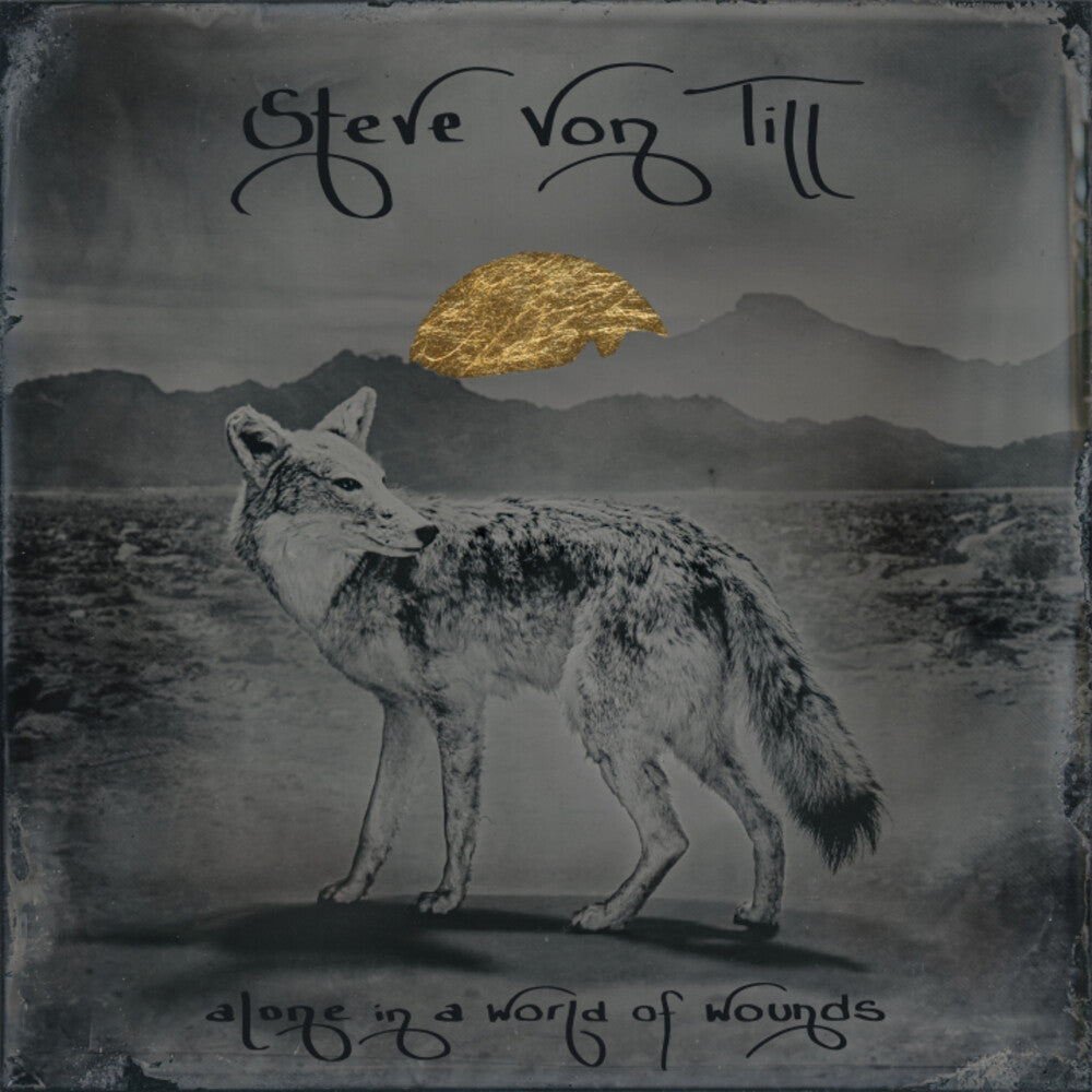 Von Till, Steve - Alone In A World Of Wounds [LP] Vinyl Record