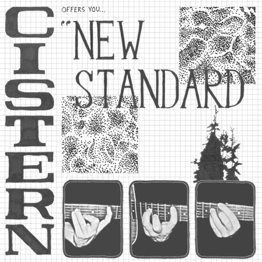 Cistern - New Standard [LP] Vinyl Record