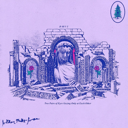 DMVU - Two Pairs of Eyes, Gazing Only at Each Other [LP] Vinyl Record