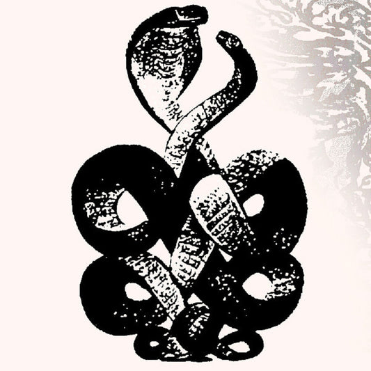 Bardo Pond - Volume 4 & 5 (Gate) [Download Included] Vinyl Record