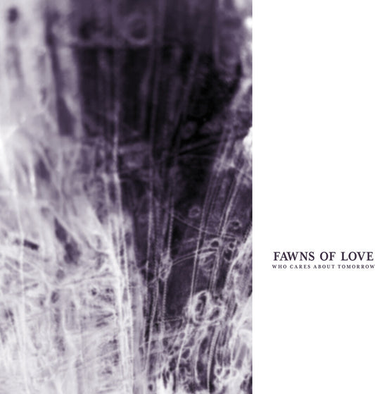 Fawns of Love - Who Cares About Tomorrow [Remastered] Vinyl Record