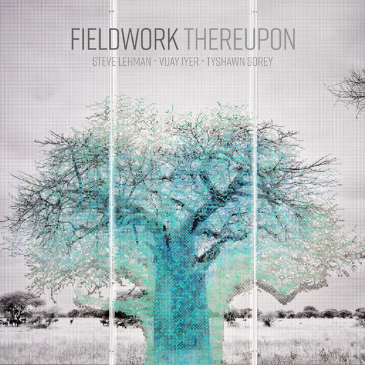 Fieldwork - Thereupon [LP] Vinyl Record