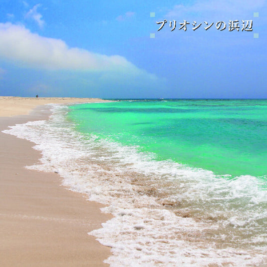 Ken-Ichiro Isoda - Beach Of The Pliocene [LP] Vinyl Record