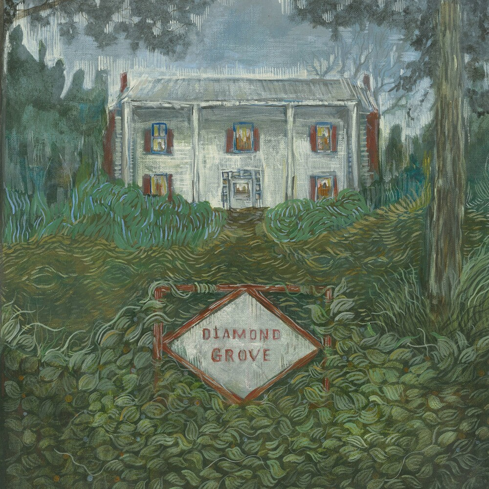 Weirs - Diamond Grove [LP] Vinyl Record
