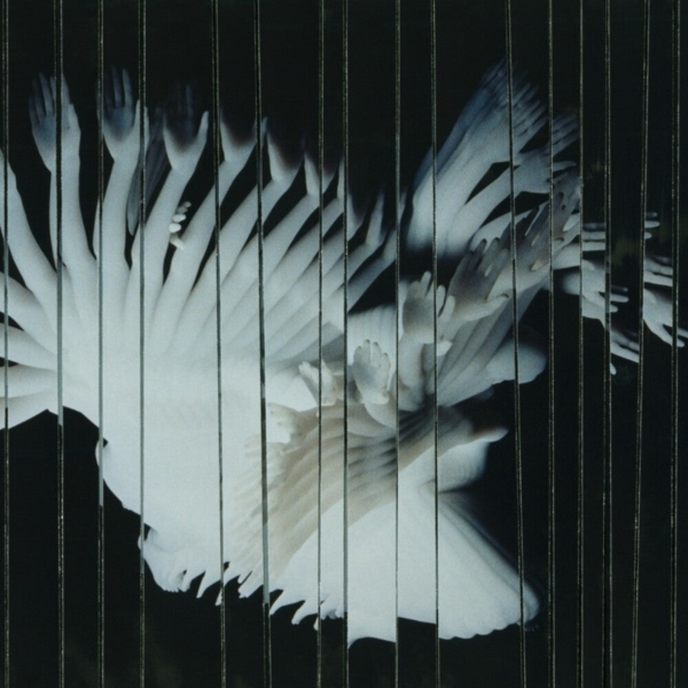 Scaler - Endlessly [LP] Vinyl Record