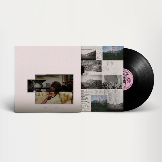 Fionn Regan - O Avalanche [LP] Vinyl Record
