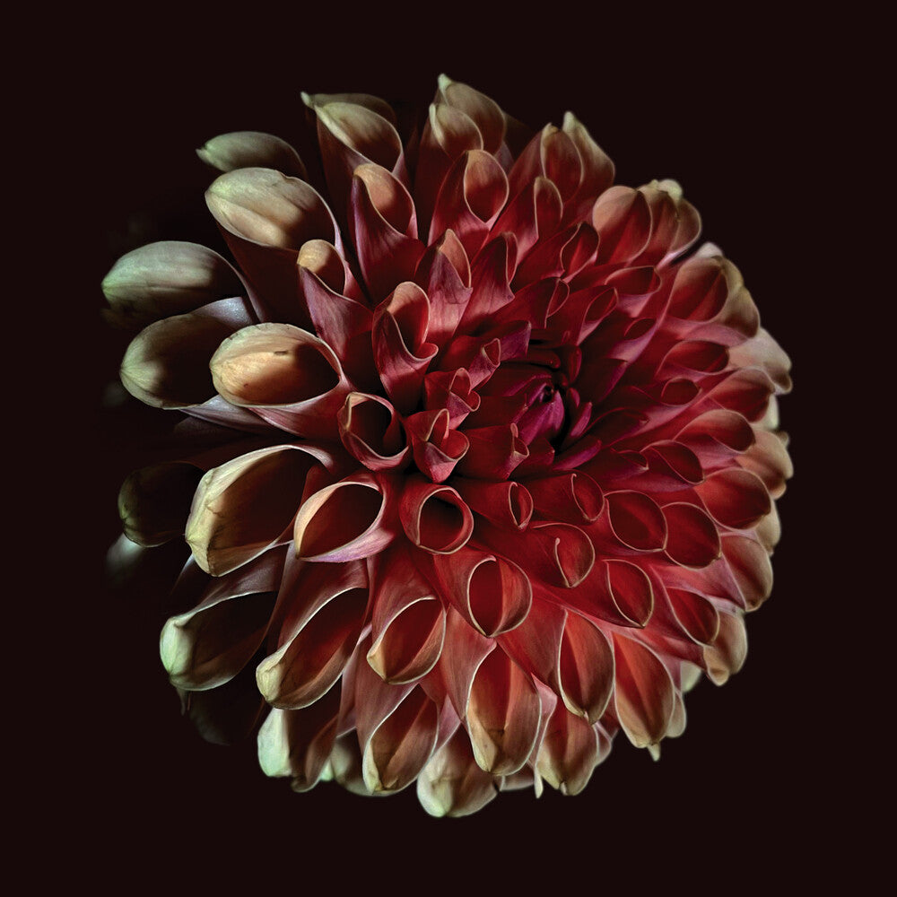 Jessica Moss - Unfolding [LP] Vinyl Record