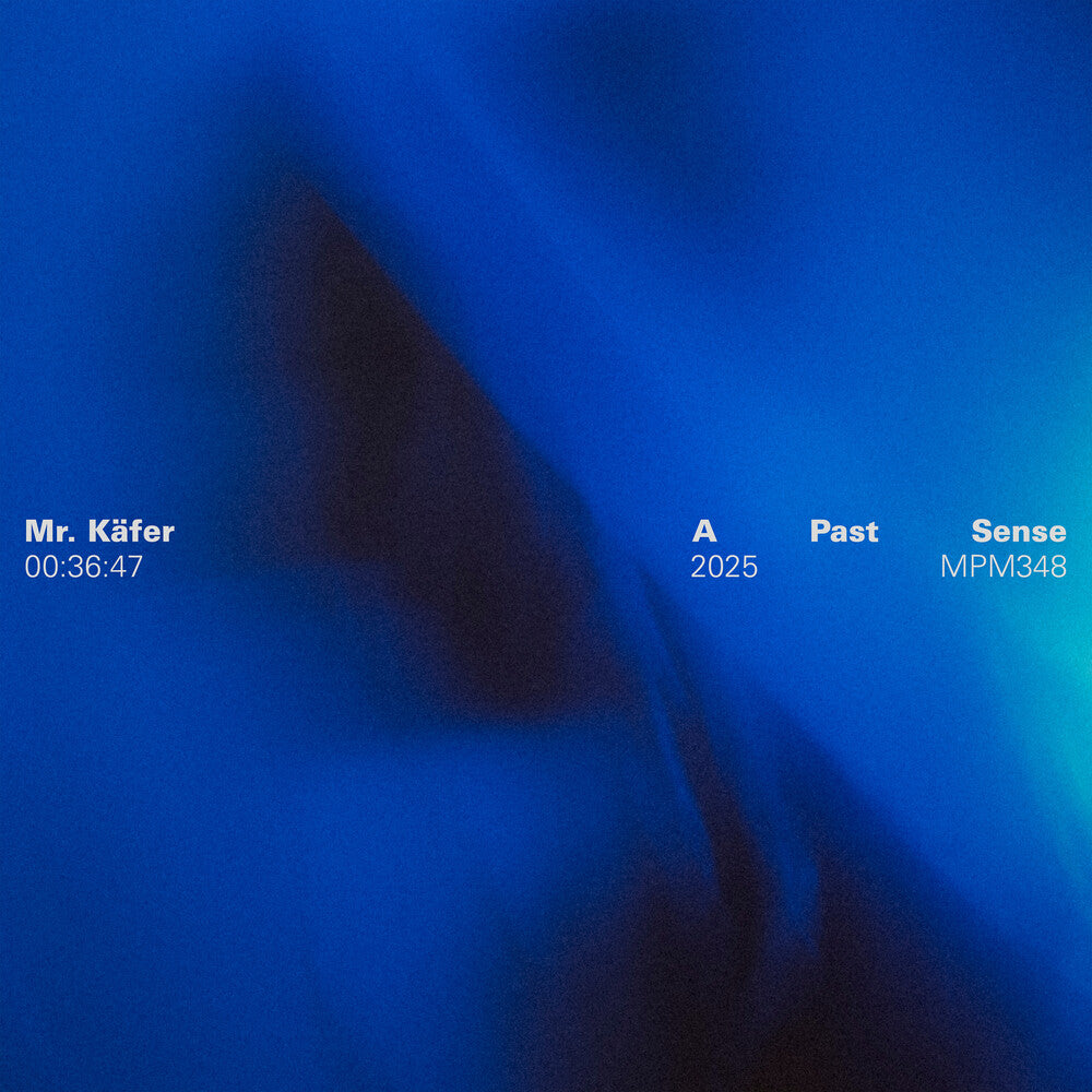 Mr. Käfer - Past Sense [LP] Vinyl Record