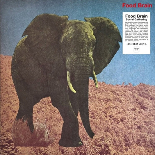 Food Brain - Social Gathering [LP] Vinyl Record