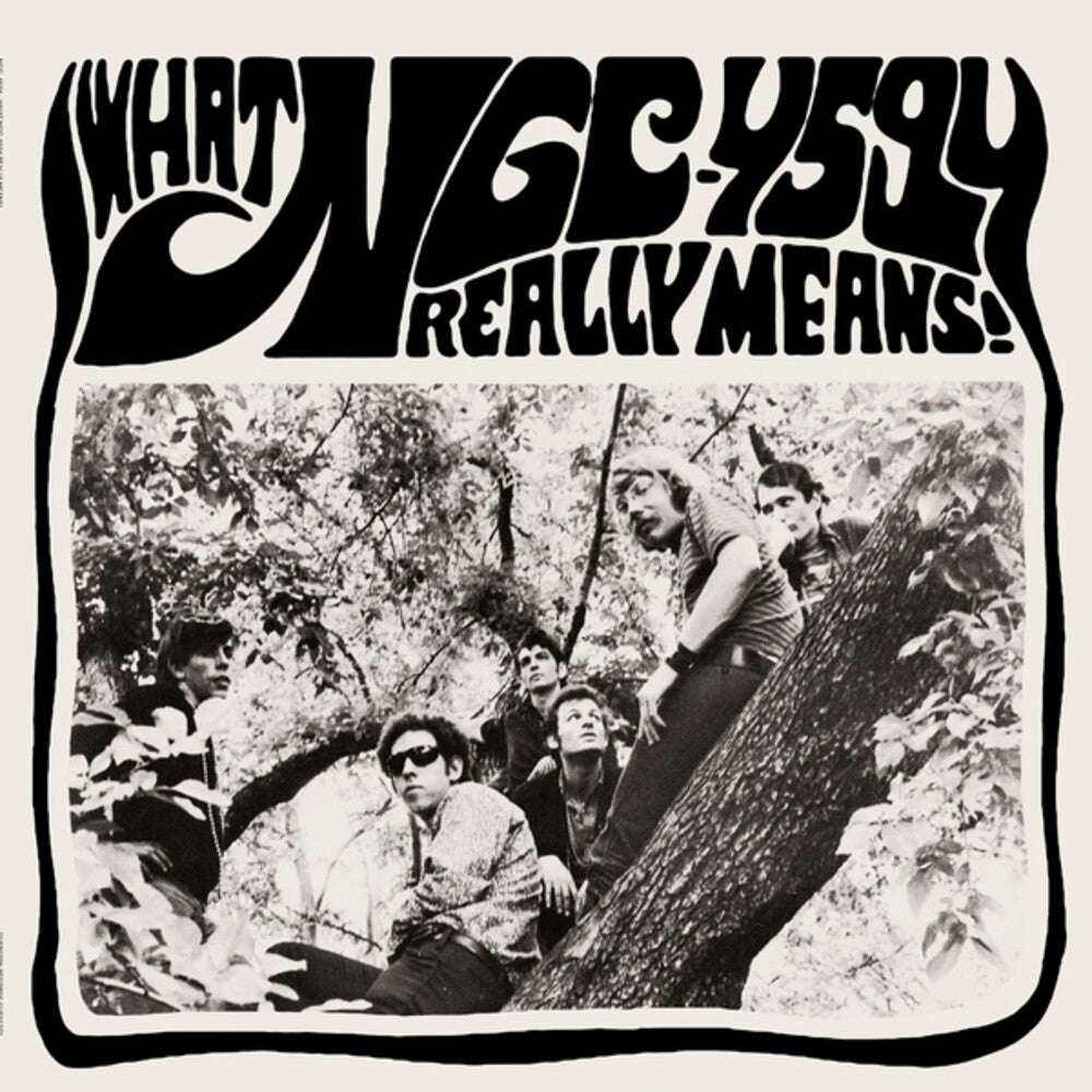 Ngc-4594 - What Ngc-4594 Really Means [LP] Vinyl Record